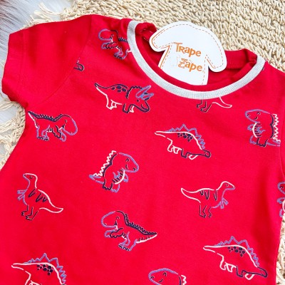 Conj. Camiseta Dinossauros e Bermuda - Vermelho e Mescla